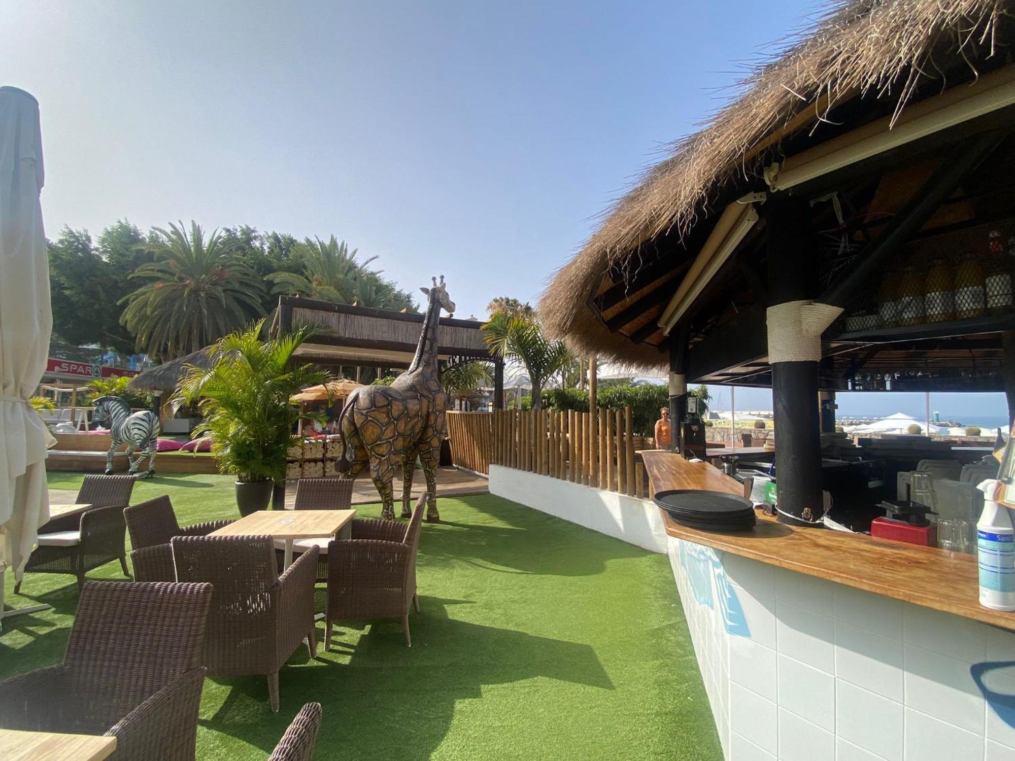New Renovated Family Home Above Swimming Pool Puerto Rico  Ngoại thất bức ảnh